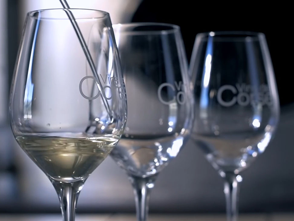 vinsdecorse