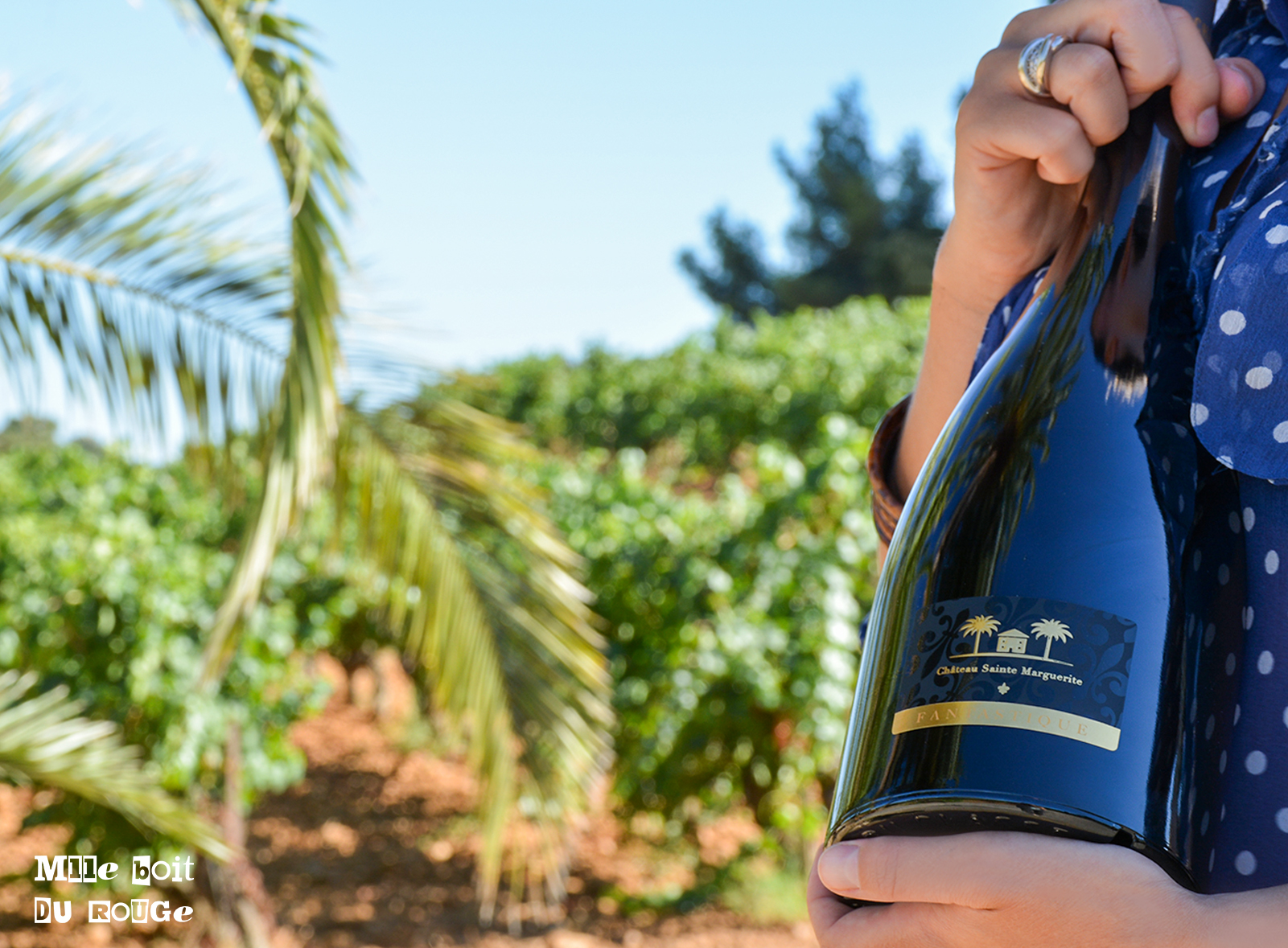 chateau ste marguerite