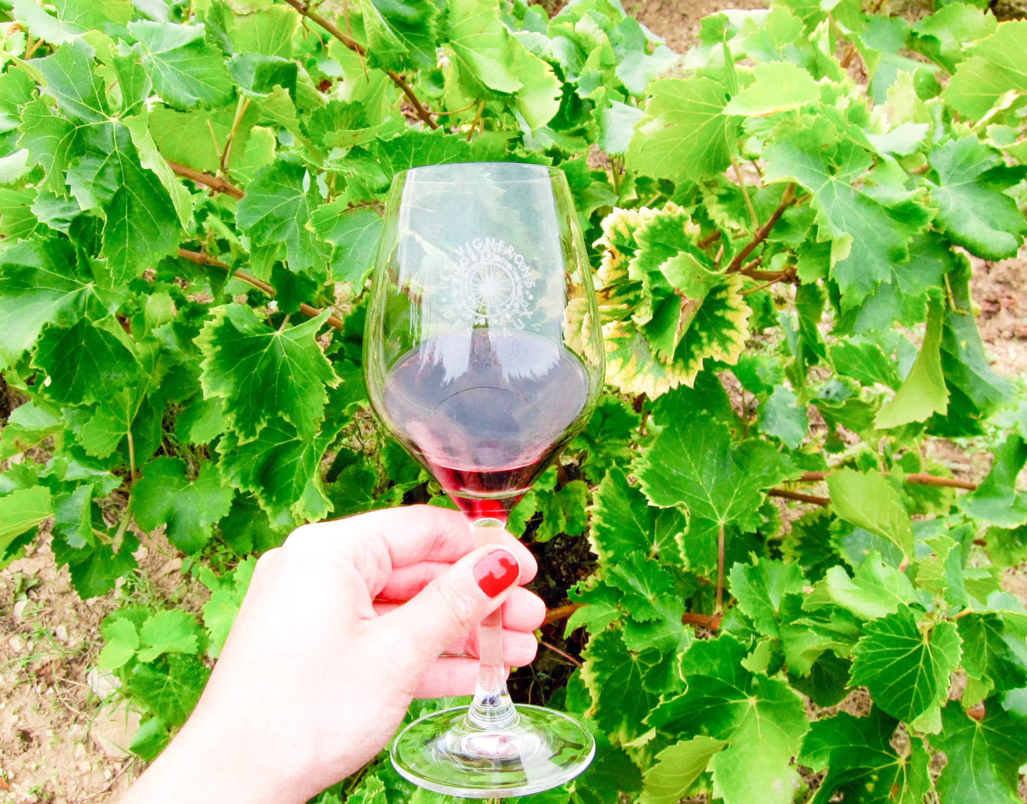 vins rouge beaux de provence