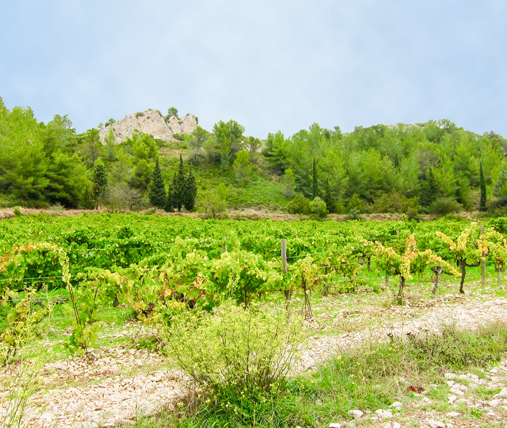beaux-de-provence