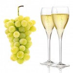 blanc-de-blanc