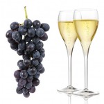 blanc-de-noir