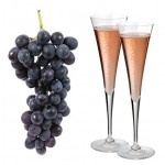 champagne-rose