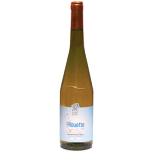 Muscadet vins de Nantes
