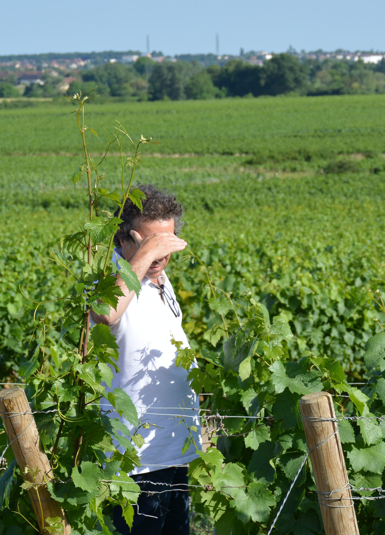 48 h sur les terres de Beaune : nos adresses et coups de cœur 48 h sur les terres de Beaune : nos adresses et coups de cœur