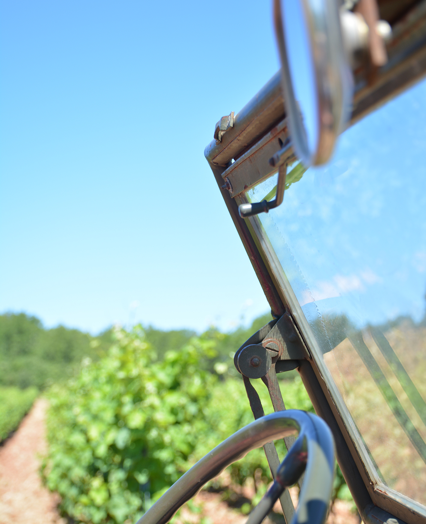 LA LIEUE vin bio