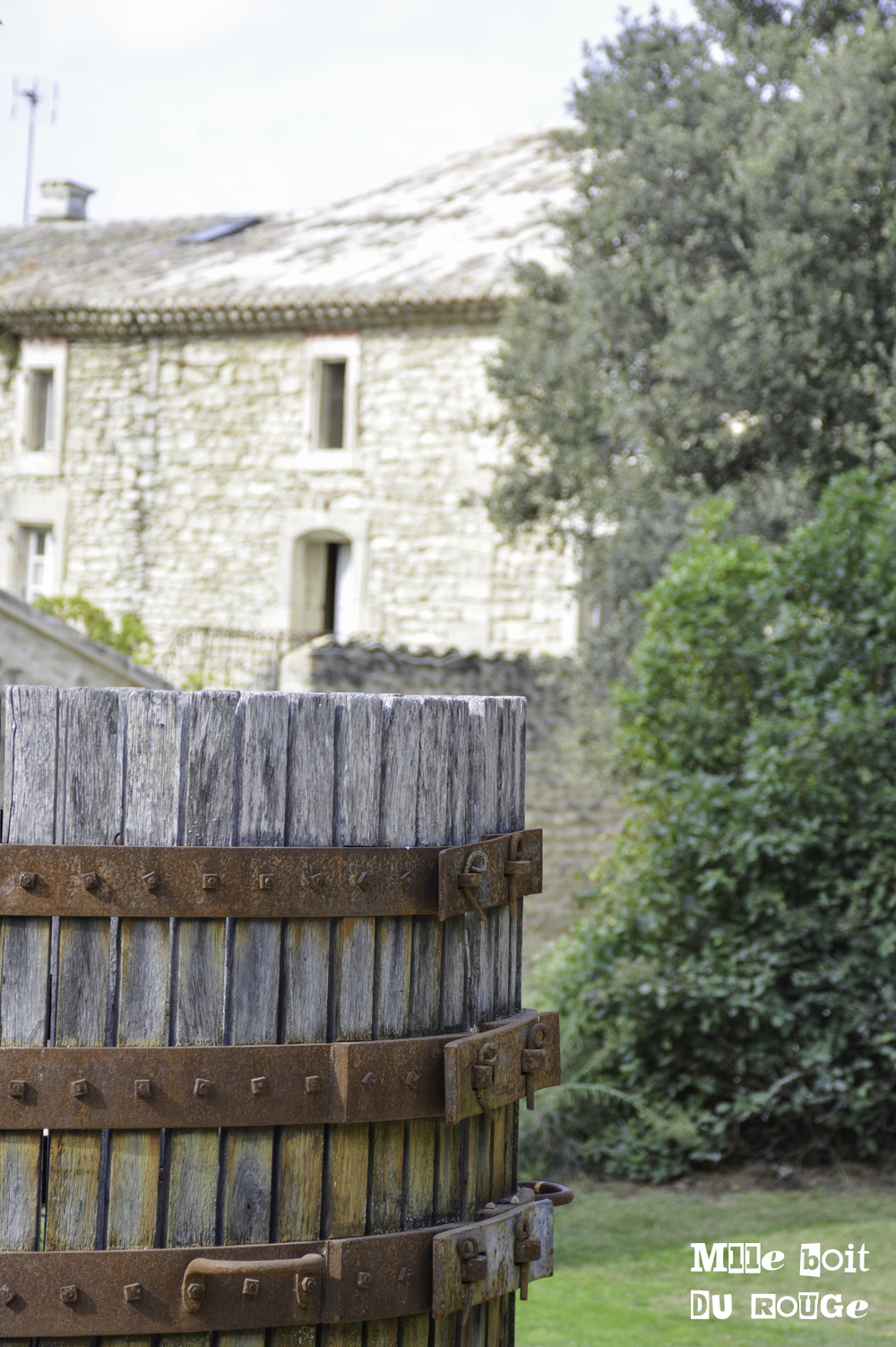 DOMAINE SAINT LUC- Grignan-Les-Adhémar