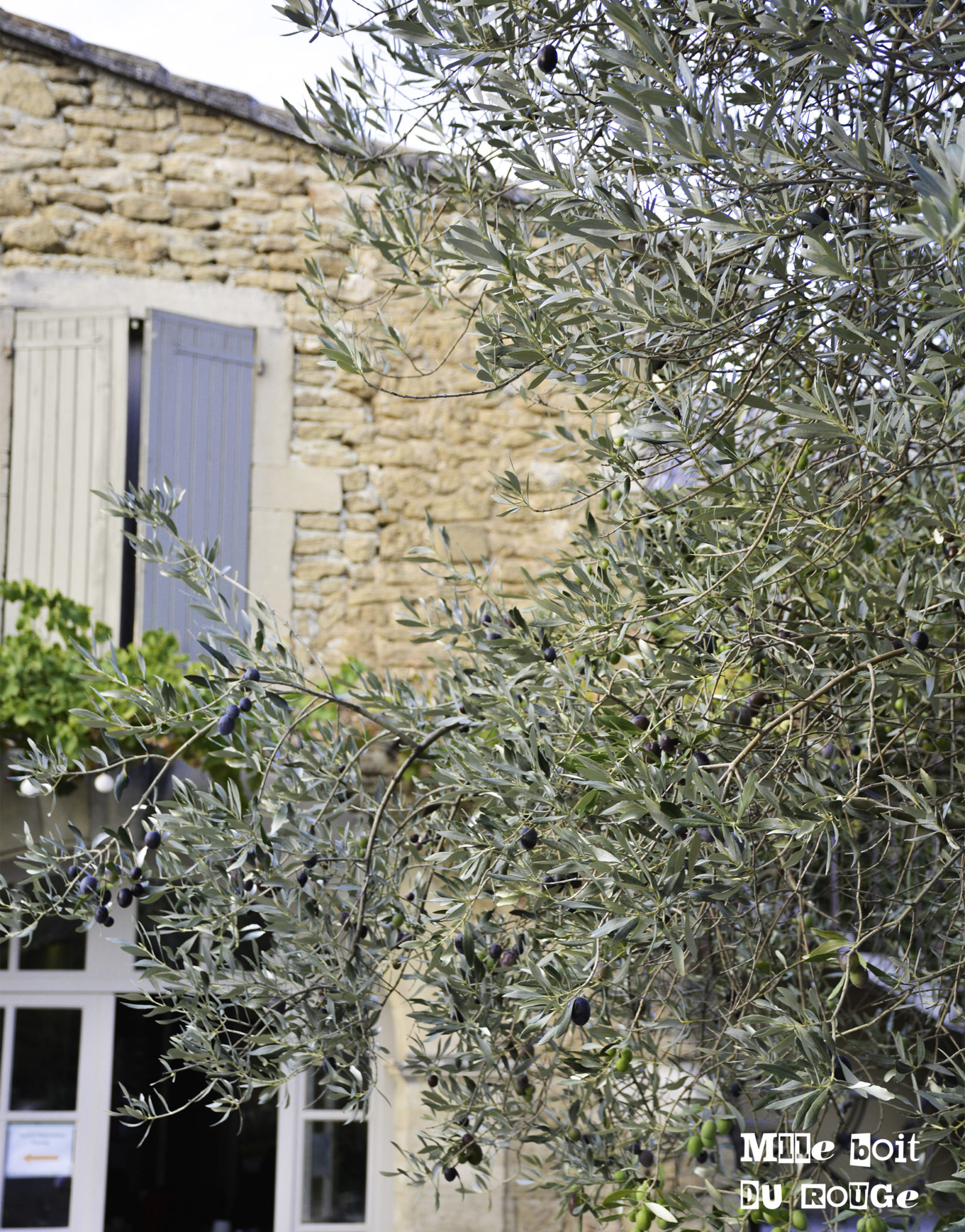 domaine de montante gite Grignan-Les-Adhémar