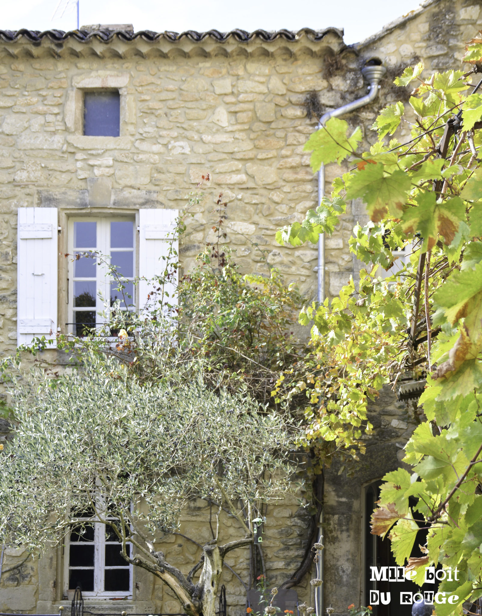 domaine saint luc gite Grignan-Les-Adhémar