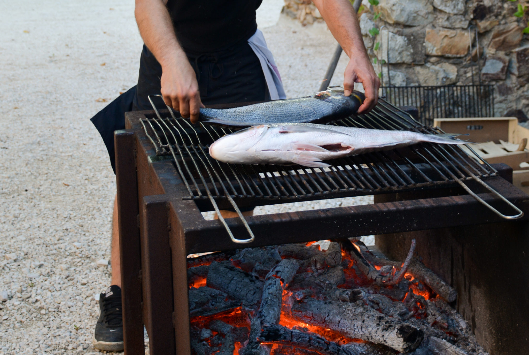 Vin et barbecue poissons