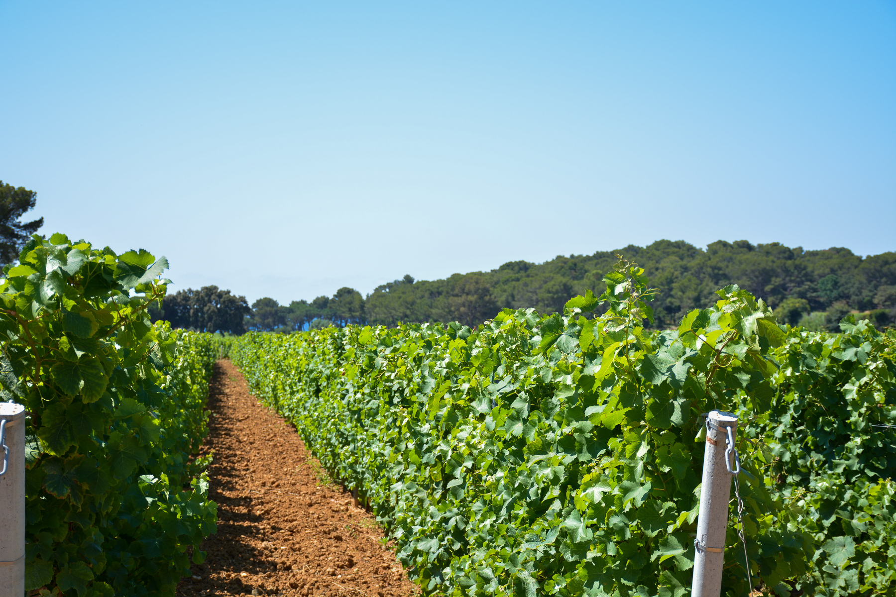 CLOS MIREILLE LA LONDE LES MAURES