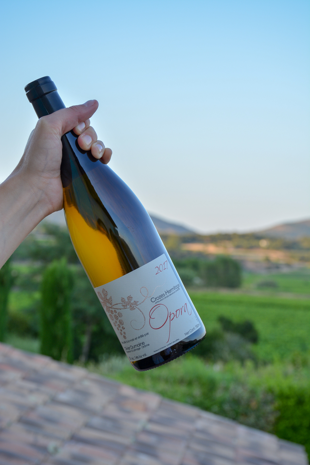 vin et barbecue