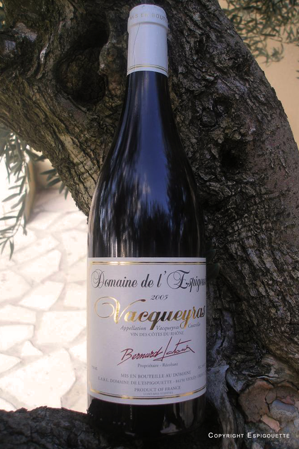 Vacqueyras