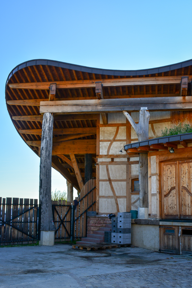 À la découverte de la biodynamie en Alsace et du Chai bioclimatique À la découverte de la biodynamie en Alsace et du Chai bioclimatique
