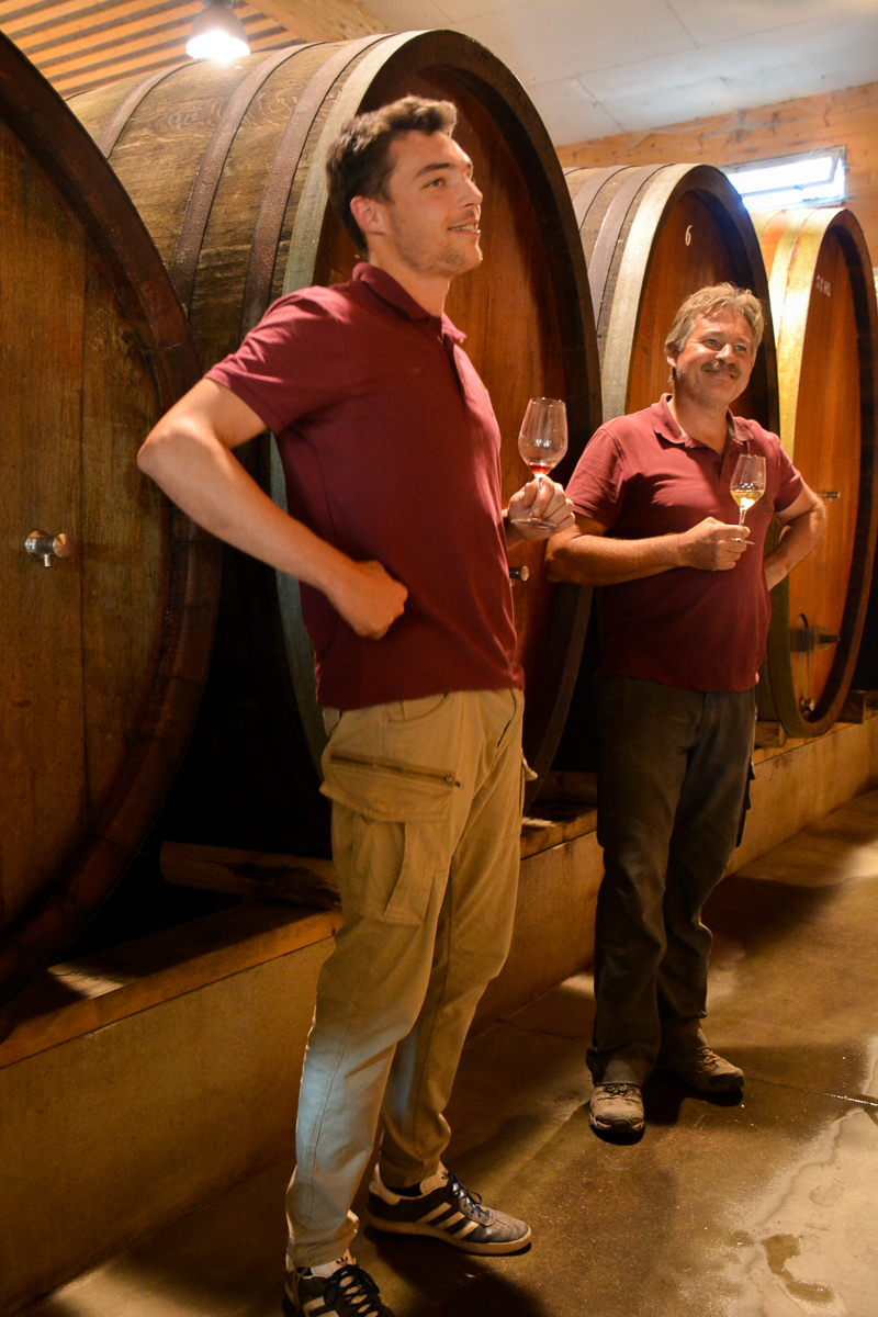 À la découverte de la biodynamie en Alsace et du Chai bioclimatique À la découverte de la biodynamie en Alsace et du Chai bioclimatique