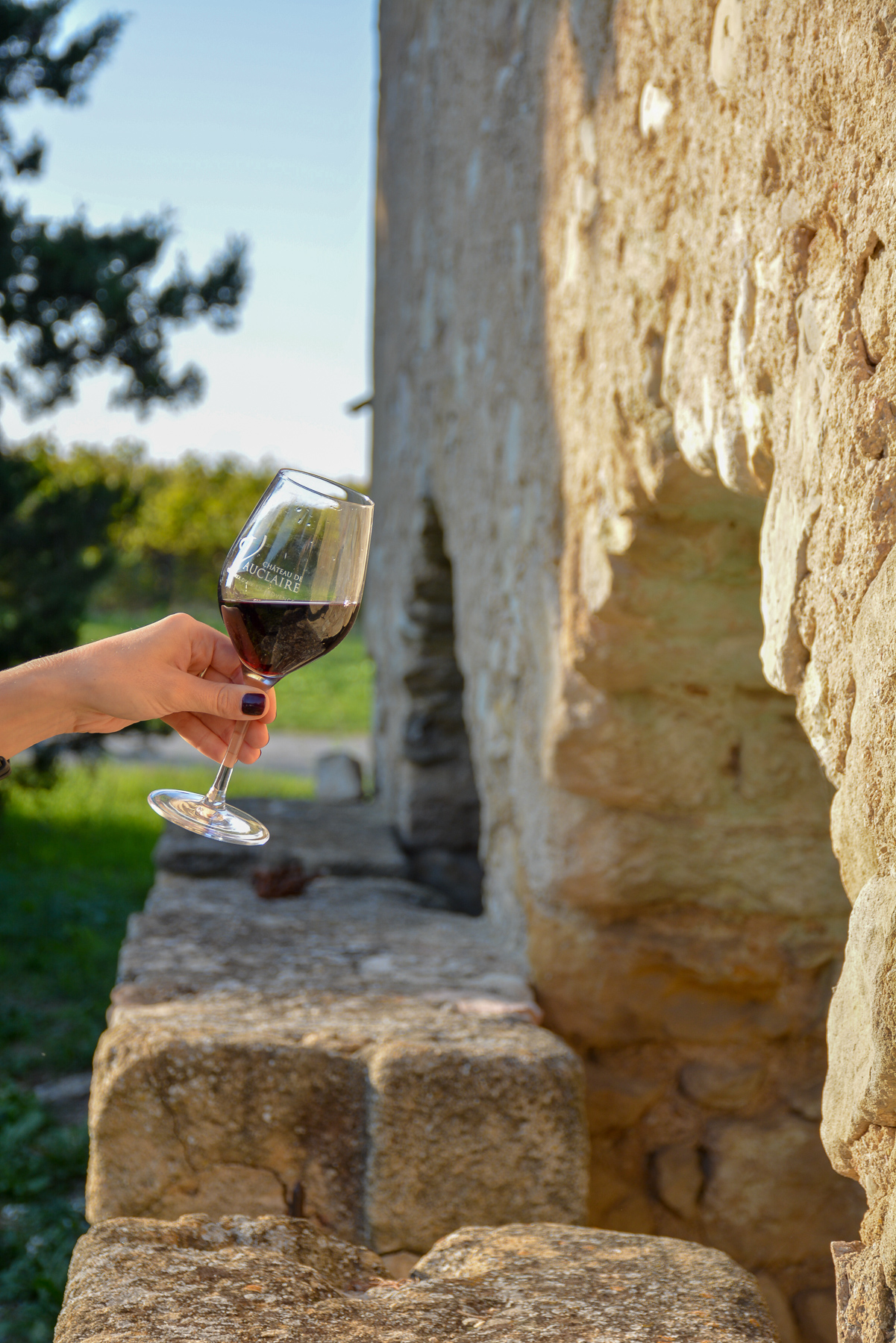 VINS ROUGE CHATEAUX VAUCLAIRE