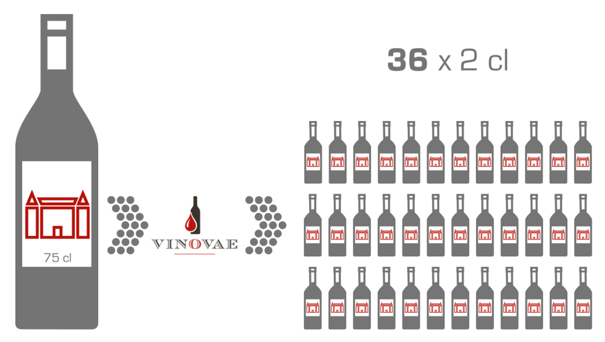 Vinottes Vinovae