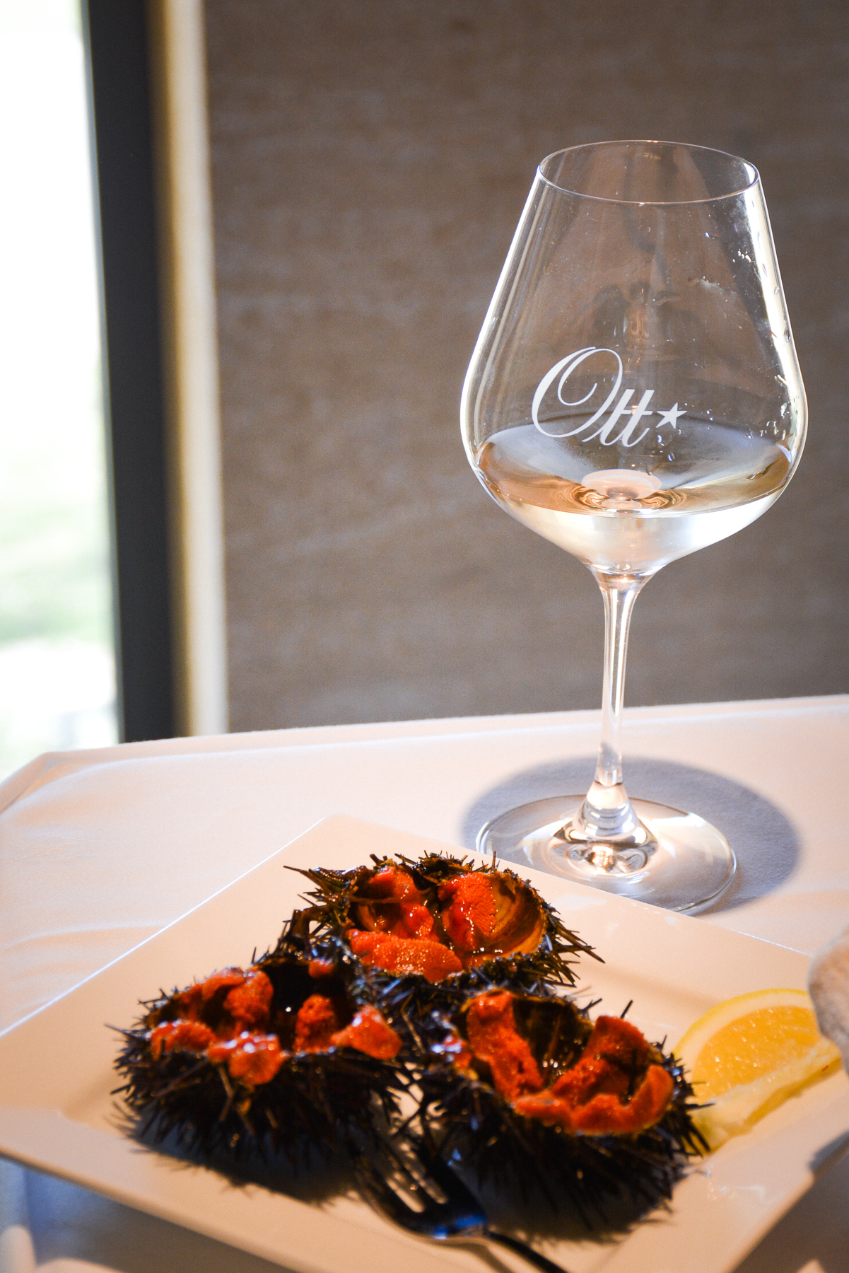 Rosé Château de Selle 2018