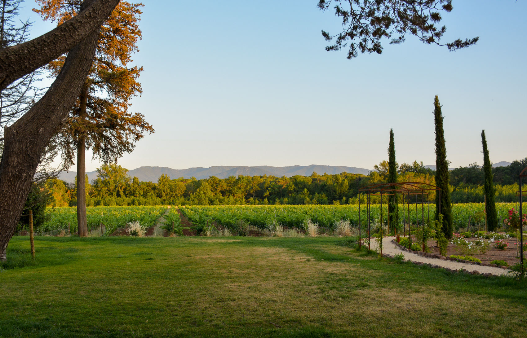 Chateau Saint Roux Le Cannet Des Maures 2020 Ce Qu Il Faut