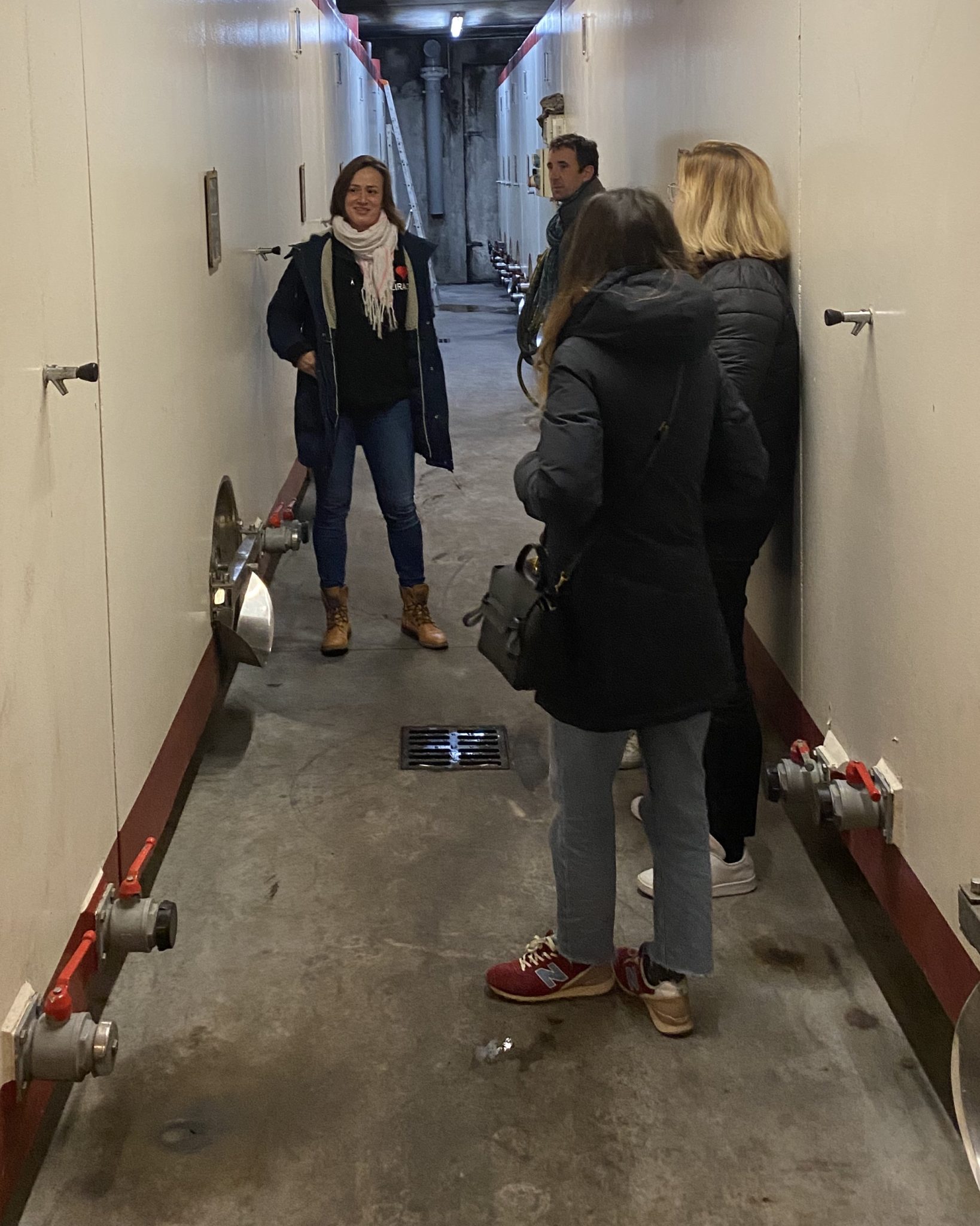 Visite de cave Alain Jaume