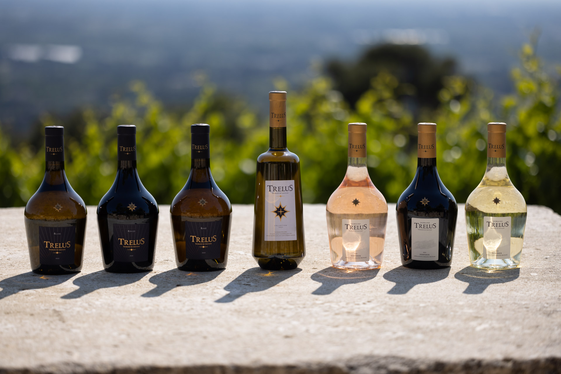 La collection de vin du Domaine TréluS