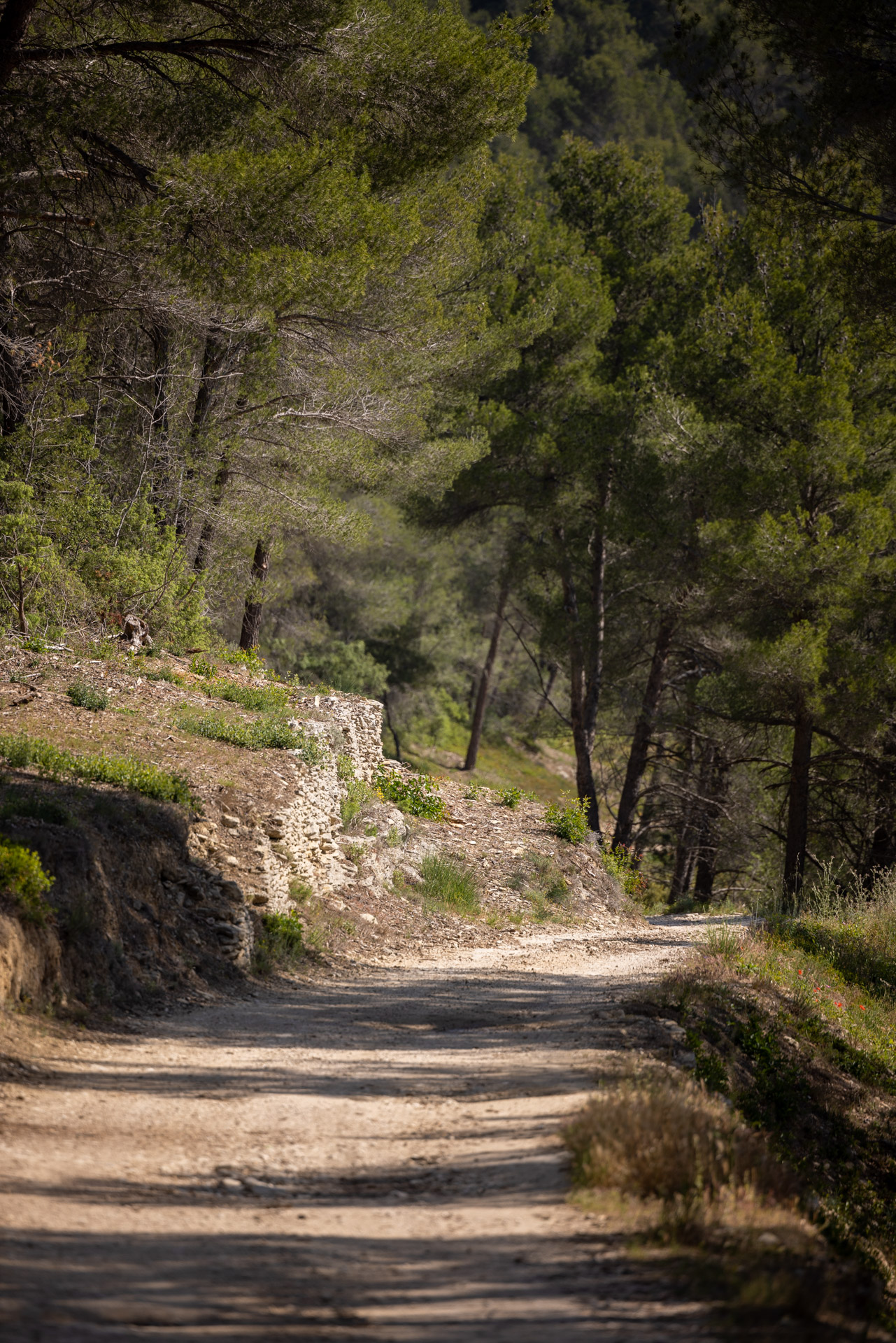 Escapade oenotouristique au domaine TréluS