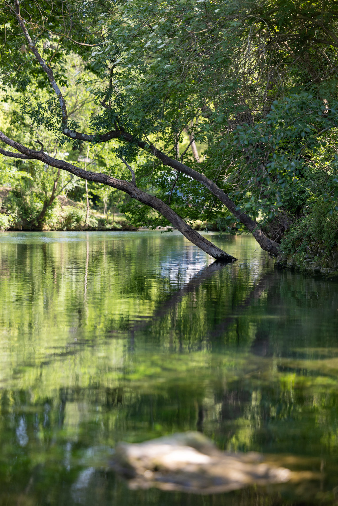La sorgue