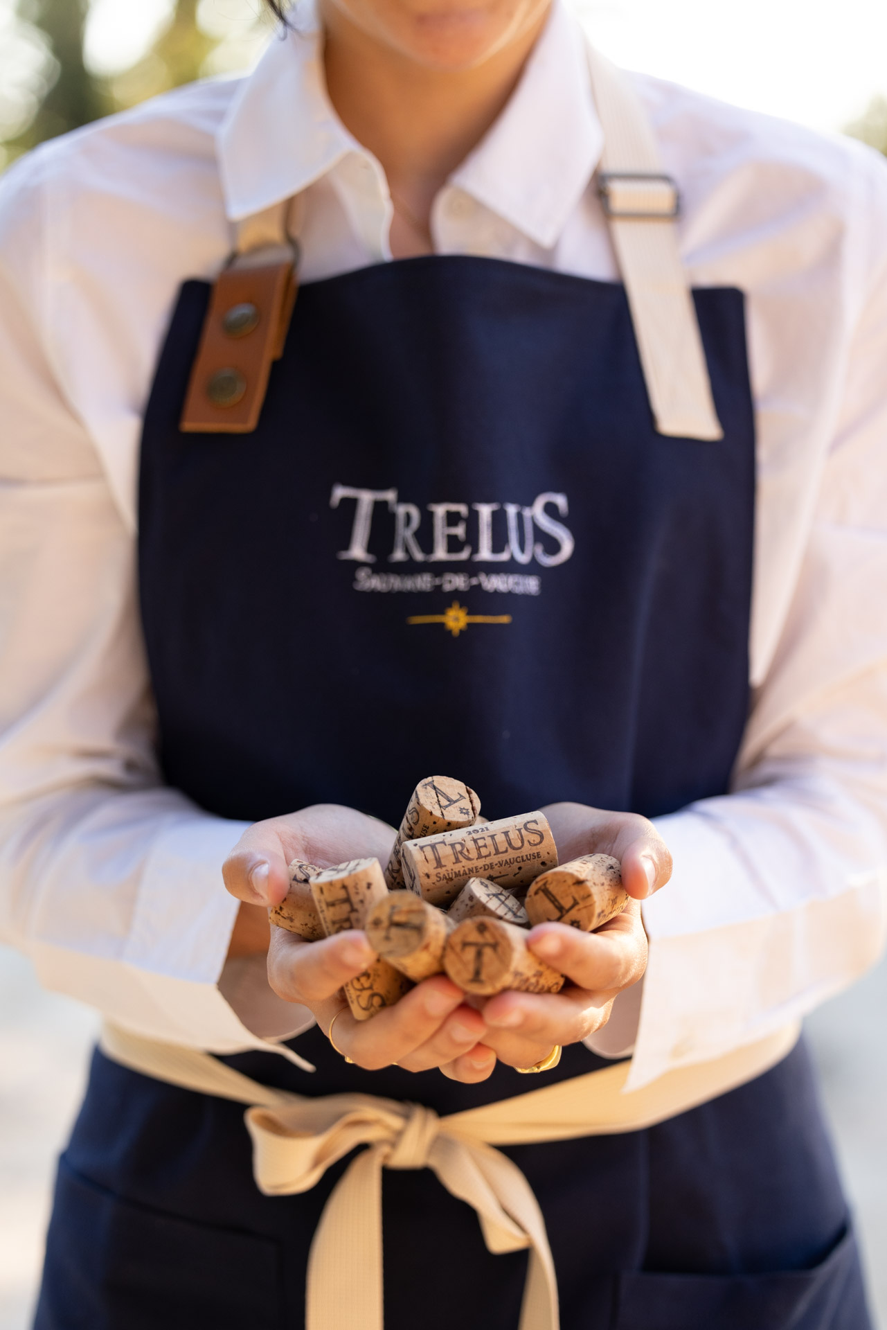 Visite et dégustation au caveau du Domaine TréluS